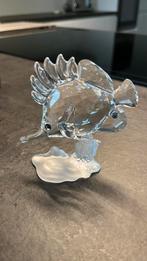 Swarovski pincetvis, Ophalen of Verzenden, Nieuw
