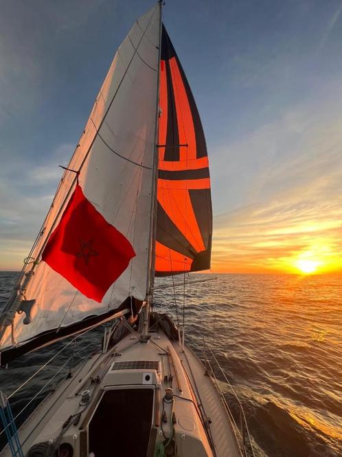 First 30 Beneteau, Watersport en Boten, Kajuitzeilboten en Zeiljachten, Gebruikt, Tourjacht of Cruiser, Polyester, 6 tot 9 meter
