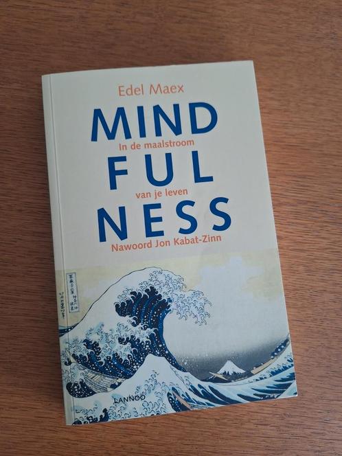 Edel Maex - Mindfulness, Livres, Ésotérisme & Spiritualité, Comme neuf, Enlèvement ou Envoi