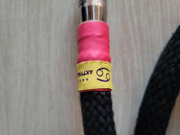 Aktyna  SCM Cortex  xlr beschikbaar voor biedingen