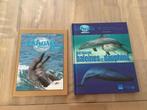 Livres sur les dauphins Ushuaïa, Livres, Livres pour enfants | Jeunesse | 13 ans et plus, Non-fiction, Enlèvement ou Envoi, Neuf