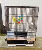 Perruche avec cage, Animaux & Accessoires, Oiseaux | Perruches & Perroquets, Perruche, Femelle