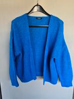gilet maat M, Kleding | Dames, Truien en Vesten, Ophalen of Verzenden, Gedragen, Maat 38/40 (M), Blauw