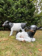 Beeld set Kalfjes, eye catcher tuin, boerderij, 65 cm, Tuin en Terras, Ophalen, Nieuw, Kunststof, Dierenbeeld