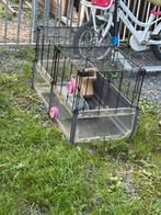 Grote ferplast hamster kooi incl assesoires en snoep, Ophalen, Gebruikt, Kooi, Hamster