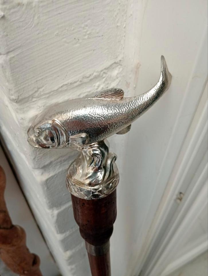 Wandelstok (vis), Diversen, Wandelstokken