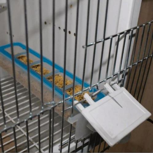 Apollo Feeder - Moldes Ave, Dieren en Toebehoren, Vogels | Toebehoren, Ophalen