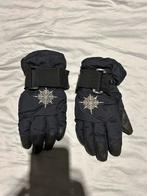 Ski handschoenen, Ophalen of Verzenden, Gedragen, Maat 46 (S) of kleiner, Handschoenen