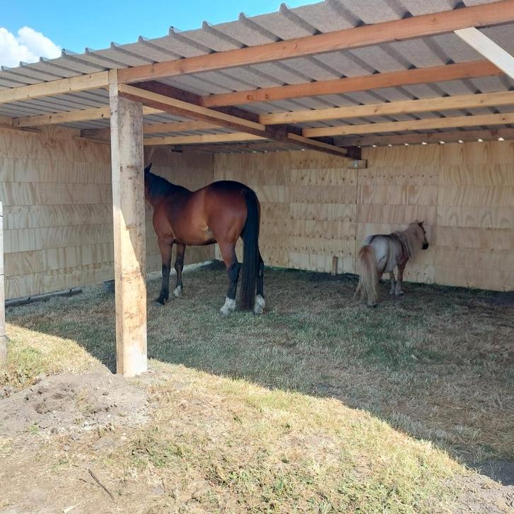 Schuilstal, paardenstal, schuilhok  paarden in voorraad, Dieren en Toebehoren, Stalling en Weidegang, Stalling, 2 of 3 paarden of pony's