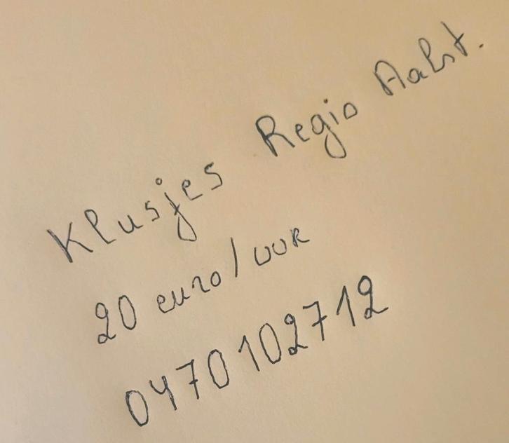 Klusjesmannen regio Groot Aalst 20€/uur 0470 10 27 12, Doe-het-zelf en Bouw, Verf, Beits en Lak, Ophalen