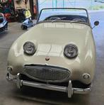 AUSTIN HEALEY FROGEYE, Auto's, Austin, Te koop, Beige, Benzine, Particulier