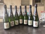 7 flessen champagne oudart Etienne extra brut, Collections, Vins, France, Enlèvement, Champagne, Neuf
