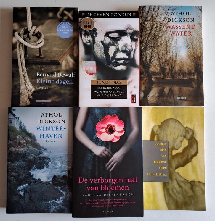 Romans & Literatuur (4), Boeken, Literatuur, Gelezen, Ophalen of Verzenden