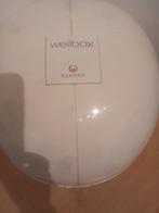 Wellbox lpg apparaat, Elektronische apparatuur, Persoonlijke Verzorgingsapparatuur, Ophalen, Zo goed als nieuw