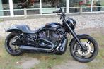 Harley-Davidson Night Rod VRSCDX Nigt-Rod Special, Motoren, Motoren | Harley-Davidson, Chopper, Bedrijf, 1130 cc