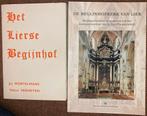 Het Lierse Begijnhof/De begijnhofkerk van Lier, Boeken, Ophalen of Verzenden, Zo goed als nieuw