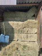 Kleine balen hooi van biogras (Bio Ron), Dieren en Toebehoren, Ophalen