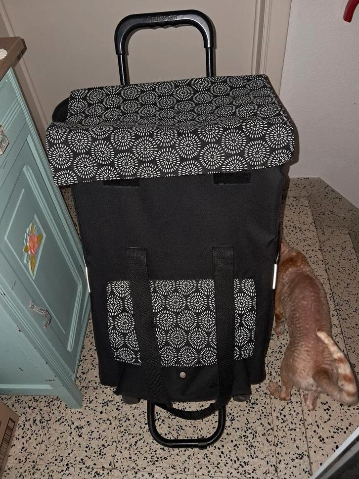 4 en 2 wielen boodschap trolley tot 50 kg, Handtassen en Accessoires, Tassen | Reistassen en Weekendtassen, Zo goed als nieuw