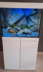 Juwel Lido 200 met LED-verlichting, Dieren en Toebehoren, Vissen | Aquaria en Toebehoren, Ophalen, Zo goed als nieuw