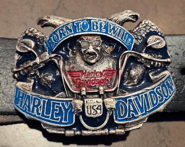 Harley Davidson Riemgesp - Born to be Wild, Kleding | Heren, Riemen en Ceintuurs, Zo goed als nieuw, Riem of Ceintuur, 95 tot 105 cm