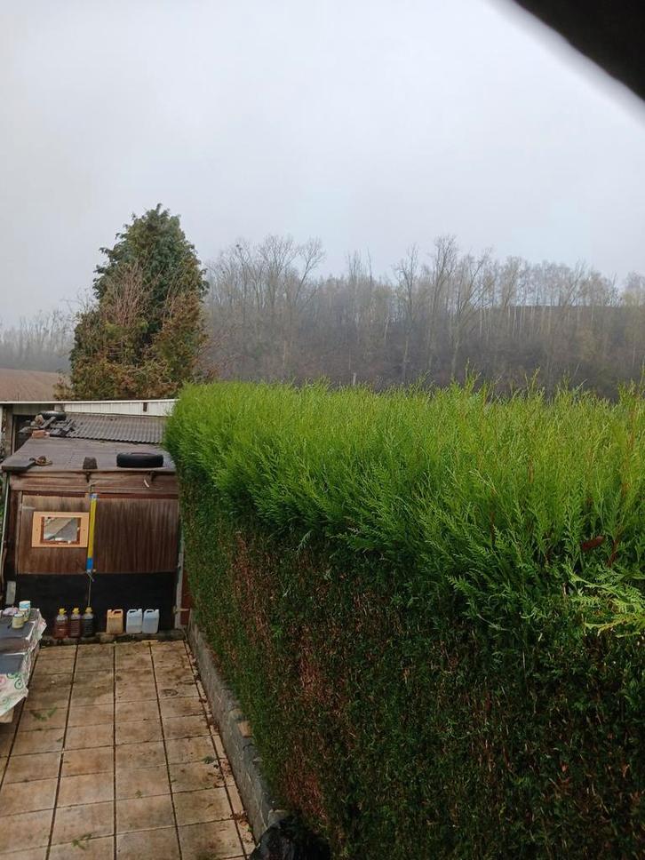 Entretien et Création d'espace vert, Diensten en Vakmensen, Tuinmannen en Stratenmakers