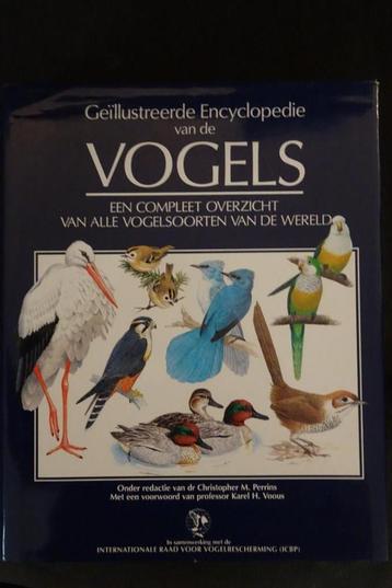 Geïllustreerde encyclopedie van de vogels beschikbaar voor biedingen