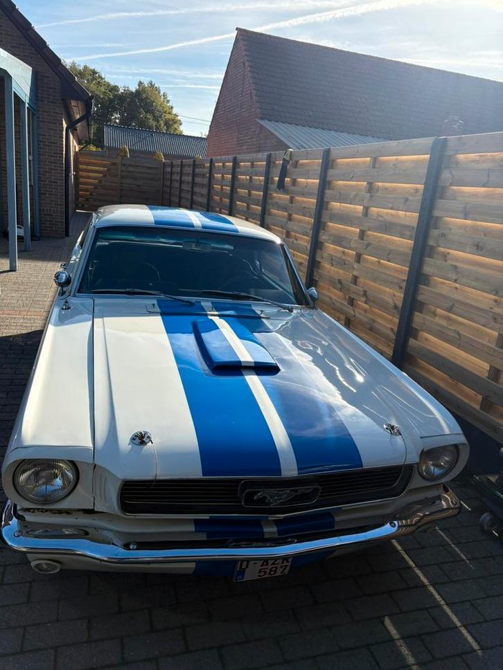 1966 mustang v8. C code, Auto's, Ford, Particulier, Mustang, Benzine, Automaat, Zwart, Ophalen