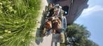Kawasaki Vulcan Drifter 1500cc, Chopper, 1500 cc, Particulier, Meer dan 35 kW