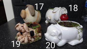 varkensbeeldjes opgevuld met krulhaar plantje beschikbaar voor biedingen