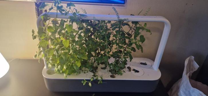 Click & Grow smart garden 9, Tuin en Terras, Bloembakken en Plantenbakken, Zo goed als nieuw, Ophalen