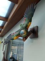 Opgezette amazone papegaai, Dieren en Toebehoren, Papegaai