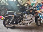 Harley davidson XL 883 sportster, Motoren, Motoren | Harley-Davidson, Particulier