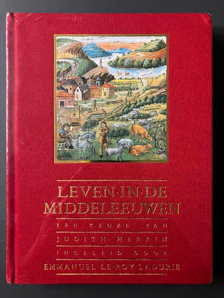 Leven in de Middeleeuwen Judith Herrin, Boeken, Geschiedenis | Wereld, Ophalen