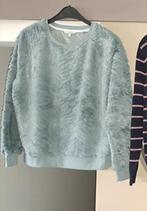 Trui Clockhouse, mt L, nieuw, Kleding | Dames, Ophalen of Verzenden, Nieuw, Maat 38/40 (M), Groen