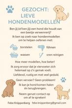 Hondmodellen gezocht!