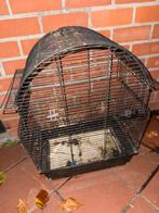Mooi kooi €20, Dieren en Toebehoren, Ophalen of Verzenden, Zo goed als nieuw