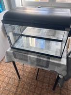 Aquarium 60 liter, Dieren en Toebehoren, Vissen | Aquaria en Toebehoren, Ophalen, Gebruikt, Leeg aquarium