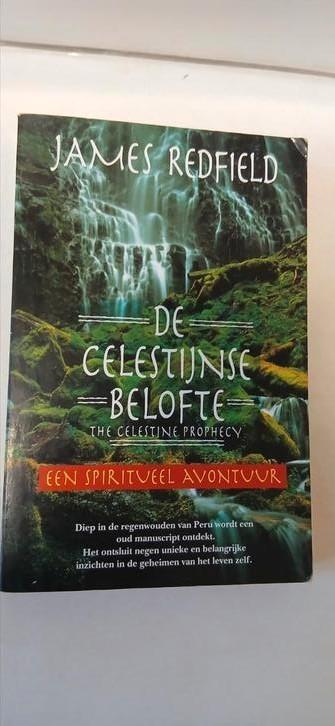 de Celestijnse Belofte, een spiritueel avontuur beschikbaar voor biedingen