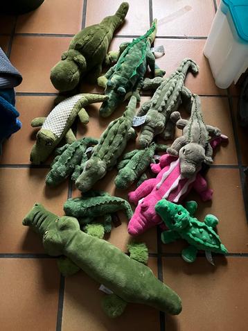 Set van 12 krokodillen knuffels beschikbaar voor biedingen