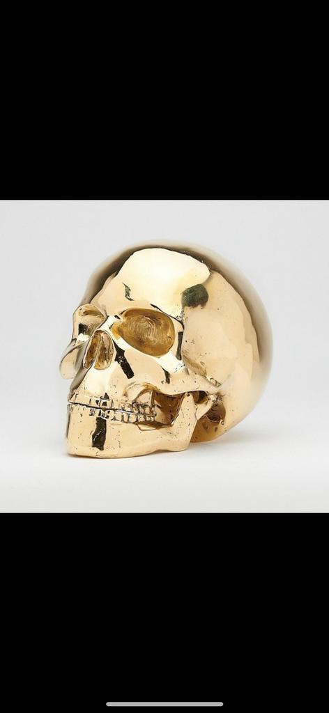 Mitch Richmond (1983) Terminator Memento Mori T2, Antiek en Kunst, Kunst | Designobjecten, Ophalen of Verzenden