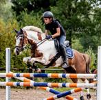 Talentvolle C pony, Merrie