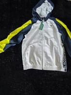Ensemble Lacoste, Enlèvement ou Envoi, Neuf, Lacoste, Garçon