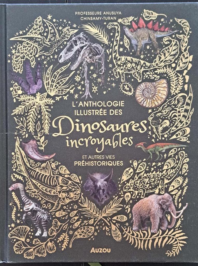 Schitterende set geïllustreerde dinosaurusboeken, Ophalen of Verzenden, Zo goed als nieuw, Los deel, Collectif