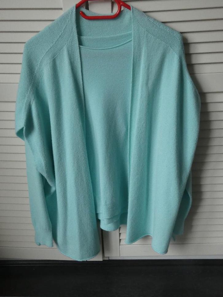 Twin Set vert clair (pull + gilet débardeur), Vêtements | Femmes, Pulls & Gilets, Porté, Taille 42/44 (L), Vert, Enlèvement ou Envoi