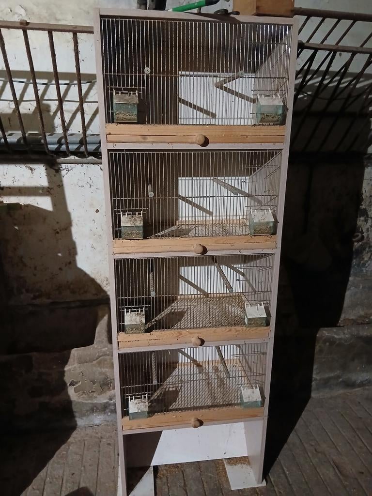 Kweek kooi, Dieren en Toebehoren, Vogels | Hokken en Kooien, Ophalen