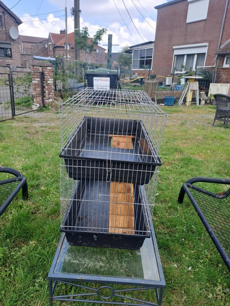 Cavia konijn fretten kooi, Ophalen, Kooi, Konijn