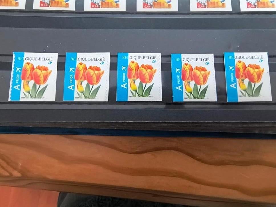 5 timbres Zone Europe numéro 3406 - état neuf, Envoi, Neuf, Europe