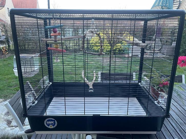 Prachtige vogelkooi, 80x47x70 cm met natuurlijke atributen, Animaux & Accessoires, Oiseaux | Cages & Volières, Utilisé, Cage à oiseaux