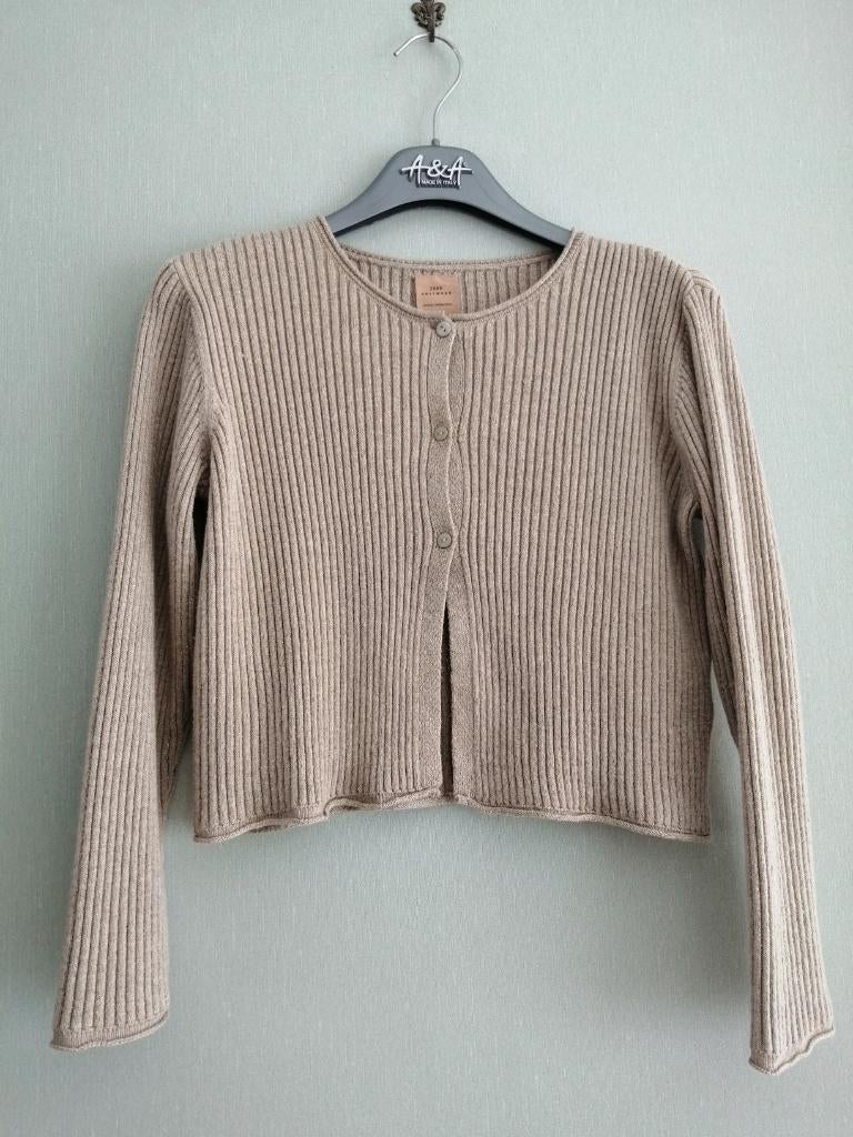 magnifique gilet Zara Knitwear taille 9 ans, Pull ou Veste, Utilisé, Zara Knitwear, Fille