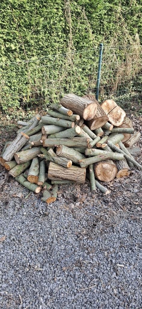 brandhout, Enlèvement